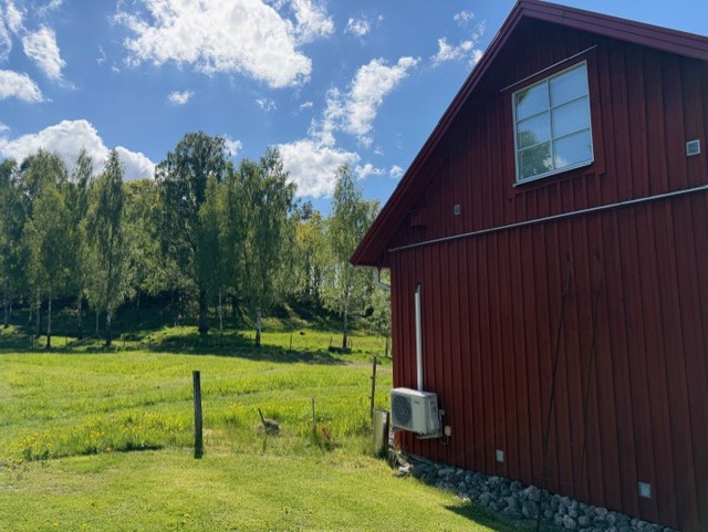 Betesmark och fasad vid gården
